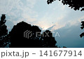 一架客機飛過樹梢，天空佈滿雲朵。 141677914