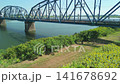Aerial view of a sunflower field along a riverbank. 141678692