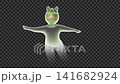 A cat monster resembling a face-changing performer (Hundred Faces) - Loop material for compositing 141682924