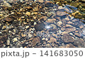 A scene of the cold summer river water sparkling in slow motion. 141683050