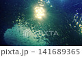 Underwater perspective looking up at the ocean surface with bright sunlight rays. School of small fish swimming in deep blue water with bubbles and foam. Serene marine life nature concept. 141689365