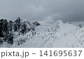 Aerial view of snow-covered jagged mountain peaks under overcast sky 141695637