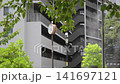 公園で稼動するミストシャワー　東京都足立区 141697121