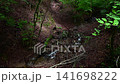 The valley and babbling brook of Usui Pass [Annaka City] 141698222