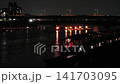 Nagara River Cormorant Total View 141703095