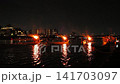 Nagara River Cormorant Total View 141703097