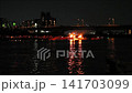Nagara River Cormorant Total View 141703099