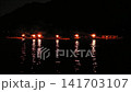 Nagara River Cormorant Total View 141703107
