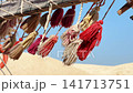 Close Up of Multicolored Decorative Tassels and Rope Knots swaying in the wind on Bedouin Tent Frame with Desert Background 141713751