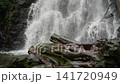 Mountain waterfall with old tree logs in the foreground, Georgia. 141720949
