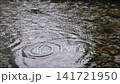 雨の波紋 141721950