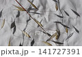 A dried oat panicle gently sways in the breeze, casting a delicate shadow across wrinkled white linen. Minimal botanical footage for wellness, natural and lifestyle concepts. 141727391