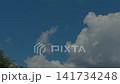 Blue summer sky with large white clouds and birds drifting overhead, open serene background with tree foliage in corner 141734248