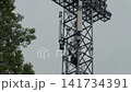 Telecommunications tower with mounted antennas beside leafy tree against overcast sky 141734391