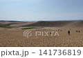 Tottori Sand Dunes, Sand Dunes, Sand, Tottori Prefecture, Tourism, Summer 141736819