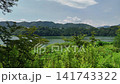 夏季的築井湖 141743322