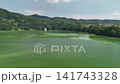 夏季的築井湖 141743328