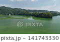夏季的築井湖 141743330