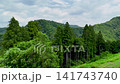 日本的山脈和深谷被翠綠的植被所環繞 141743740