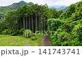 日本的山脈和深谷被翠綠的植被所環繞 141743741