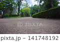 綠樹成蔭的公園裡有步道和草坪 141748192