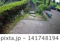 一段在綠樹成蔭的公園小徑上散步的影片。 141748194
