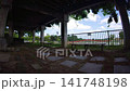 從樹蔭下望去，可以看到公園的帳篷區。 141748198