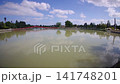 寧靜的池塘和鬱鬱蔥蔥的公園景觀 141748201