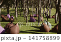Relaxation area with soft seats located on the lawn among the trees in the park 141758899