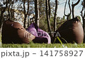 Soft seats stand on the lawn in the park recreation area on a summer day 141758927