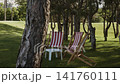 Beach chairs stand on the lawn in the park recreation area on a summer day 141760111