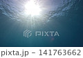 優雅に泳ぐ沖縄・恩納村のアオウミガメ① 141763662