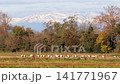 White Storks Migrating Field Pyrenees Mountains White Storks Migrating Field Pyrenees Mountains 141771967