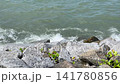 Ocean Waves Splashing On Rocky Shore With Green Plants At Port Dickson 141780856