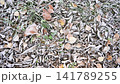 Frosted ground (hand-held) Frosted ground (hand-held) 141789255