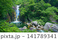 A video of Senga Falls cascading down amidst the dazzling deep green of Shosenkyo Gorge on a clear summer day, sending up splashes of water. A video of Senga Falls cascading down amidst the dazzling deep green of Shosenkyo Gorge on a clear summer day, sending up splashes of water. 141789341