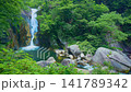 A video of Senga Falls cascading down amidst the dazzling deep green of Shosenkyo Gorge on a clear summer day, sending up splashes of water. A video of Senga Falls cascading down amidst the dazzling deep green of Shosenkyo Gorge on a clear summer day, sending up splashes of water. 141789342