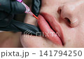 Close Up Permanent Lip Makeup 141794250