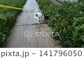 On a rainy day, a white dog with brown spots walks on a leash in the yard near the parking lot. 141796050