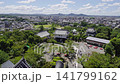 Inuyama Castle 141799162