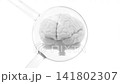 Brain in molecules transparent simulation. Minimal concept design. Includes white background and green screen. Can be used in medical elements or science. Animation Seamless loop, 3D Render. 141802307