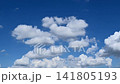 White clouds drifting gently by. 141805193