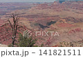 Grand Canyon landscape displays mesmerizing shifting light as cloud shadows traverse the immense red rock formations and steep sandstone gorges in this vivid 4K nature video 141821511