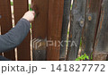 Brown oil for protection of wood by staining. Painting fence for protecting and pests. Woodworker applying finish to pine deck board. Repairman varnishing with brush wooden fencing wall plank surface. 141827772