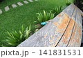 Weathered deck and backyard for home maintenance and safety campaigns 141831531