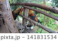 Backyard poultry farming asset representing small scale livestock production 141831534
