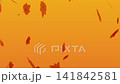 舞いながら落ちる紅葉のアニメーション　銀杏　もみじ　 141842581