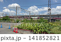 A passing freight train and a Shinkansen 500 series train. 141852821