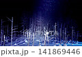 北海道美瑛青池燈飾 141869446