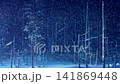 北海道美瑛青池燈飾 141869448